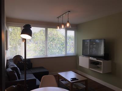 Picture 5
